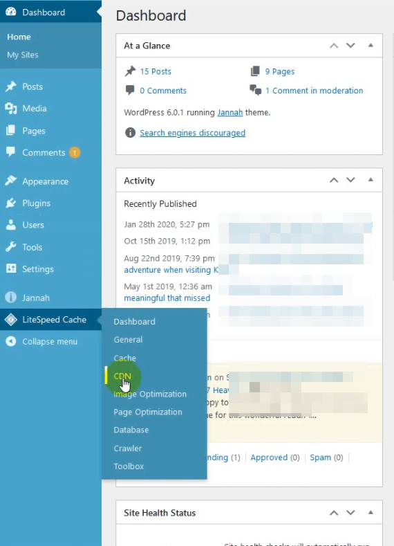 enable CDN in wordpress